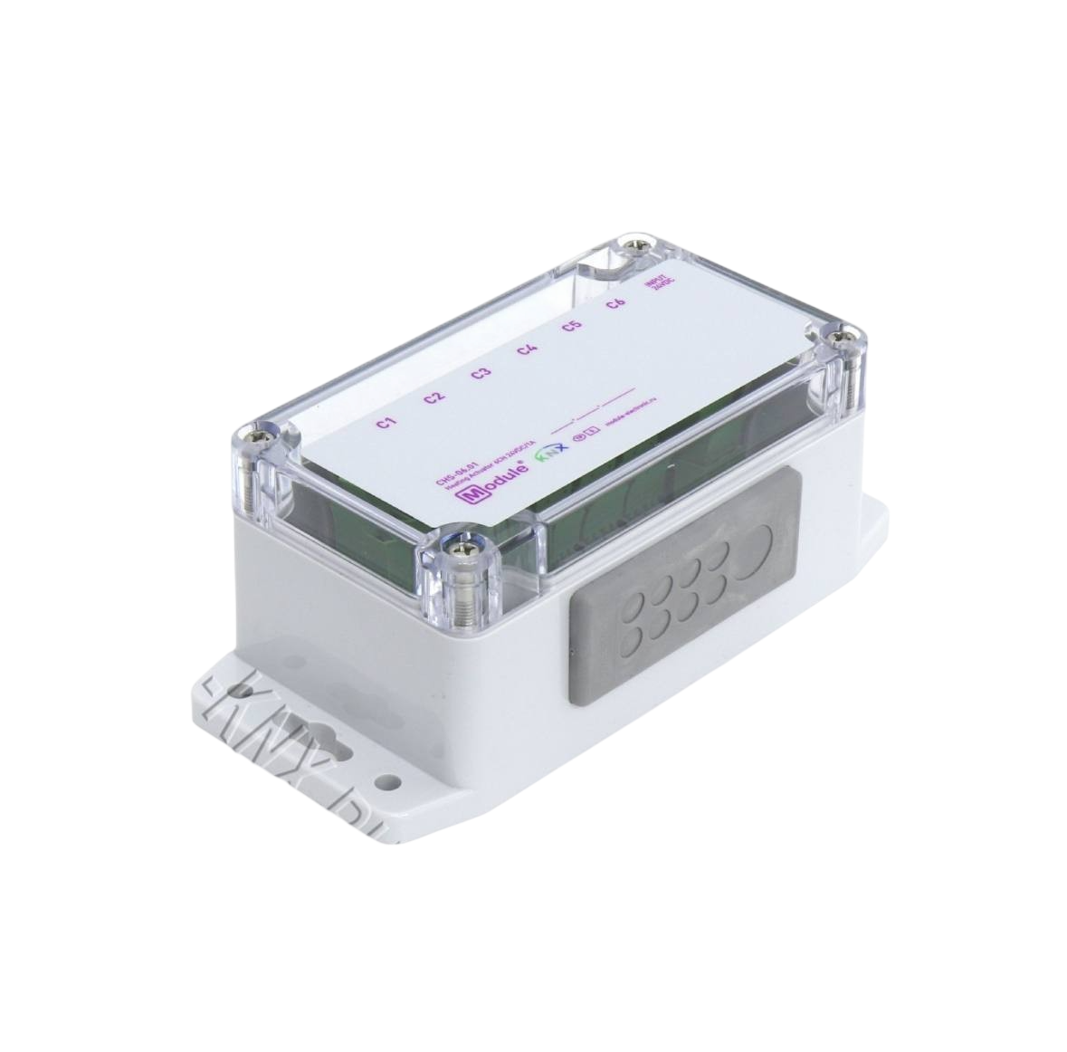 Сотрудничество с Module Electronic